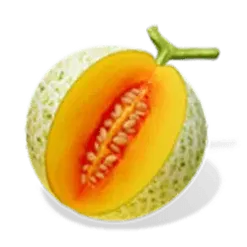 icon 2