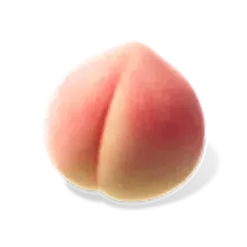 icon 4