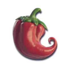 icon 5