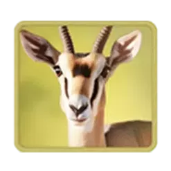 icon 5