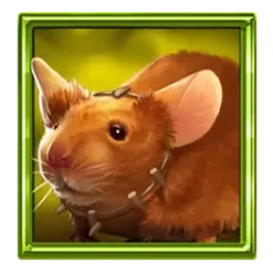 icon 6