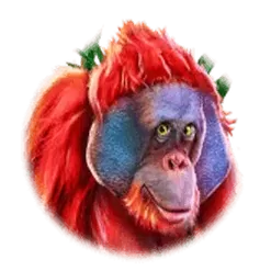 icon 4