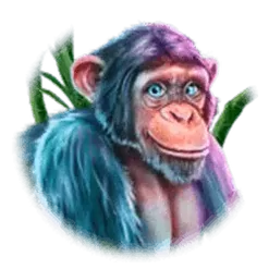 icon 5