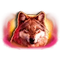icon 4