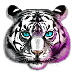 icon 2