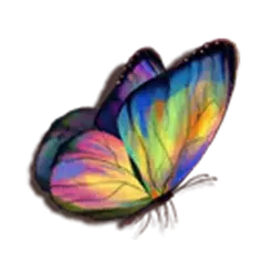 icon 5