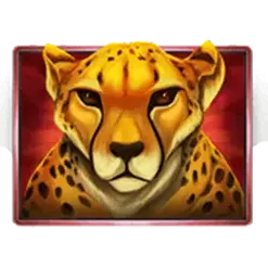 icon 2