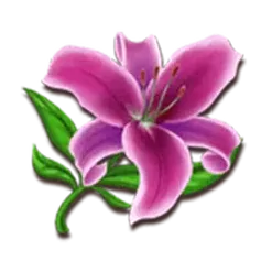 icon 6