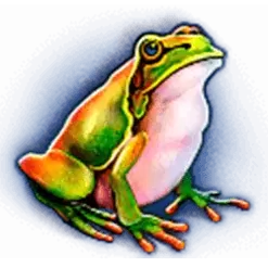 icon 4