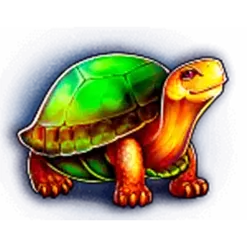 icon 3