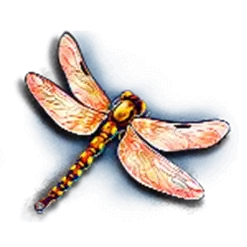 icon 6