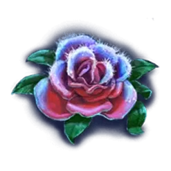 icon 3