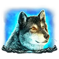 icon 4