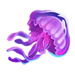 icon 4