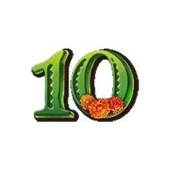 icon 11