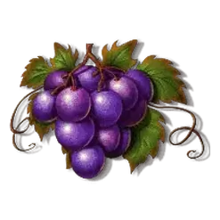 icon 4