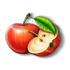 icon 4