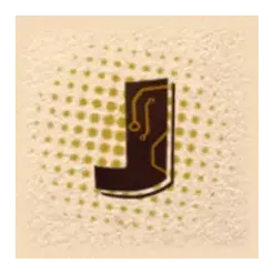 icon 9