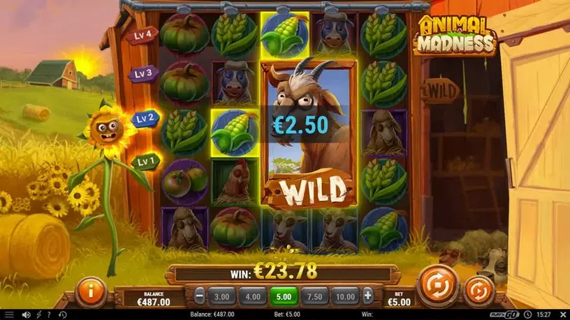 Animal Madness slot screenshot 8