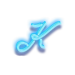 icon 9