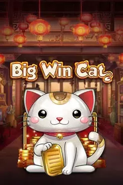 Big Win Cat