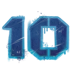 icon 10