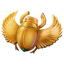 icon 5