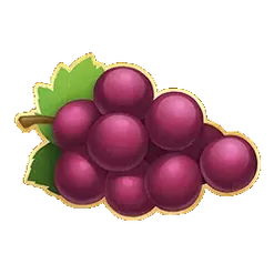 icon 6