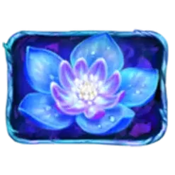icon 3