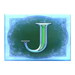 icon 9
