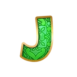 icon 9