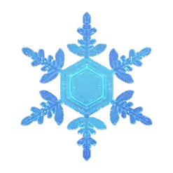icon 9