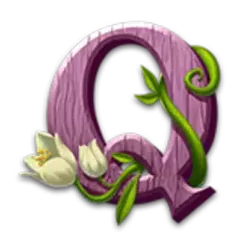 icon 9