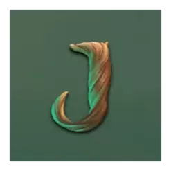 icon 10