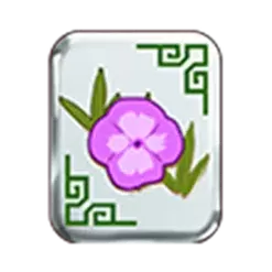 icon 4