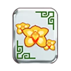 icon 3
