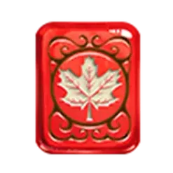 icon 13