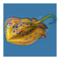 icon 5