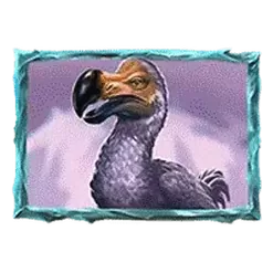 icon 5