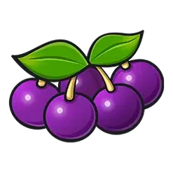icon 4
