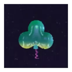 icon 10