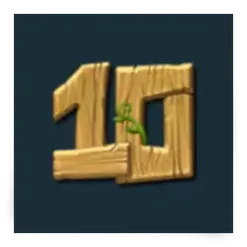icon 10