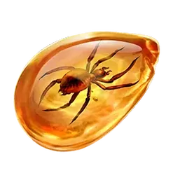 icon 9