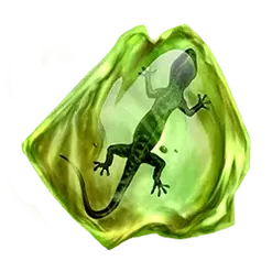 icon 5