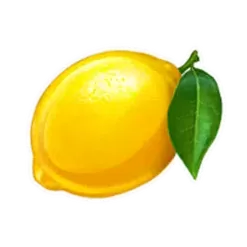 icon 9