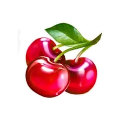 icon 7