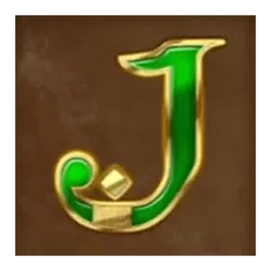 icon 9