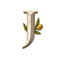 icon 10