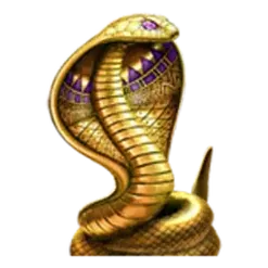 icon 5