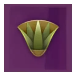 icon 9